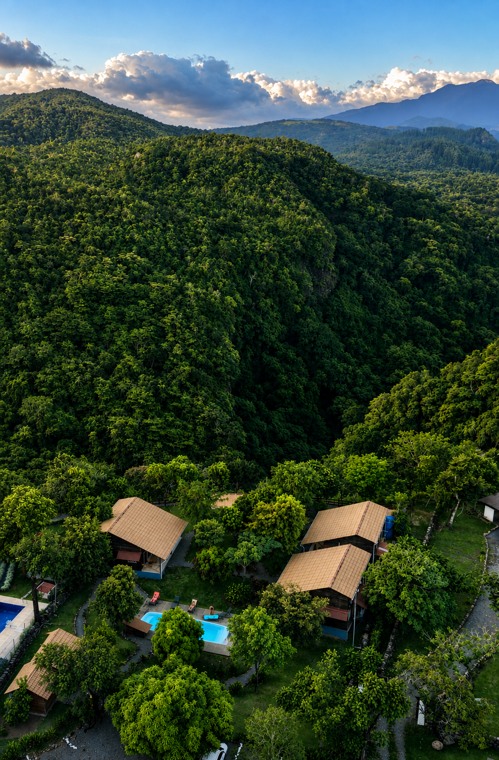 Vue aérienne des cabanes et de la piscine partagée dans la végétation