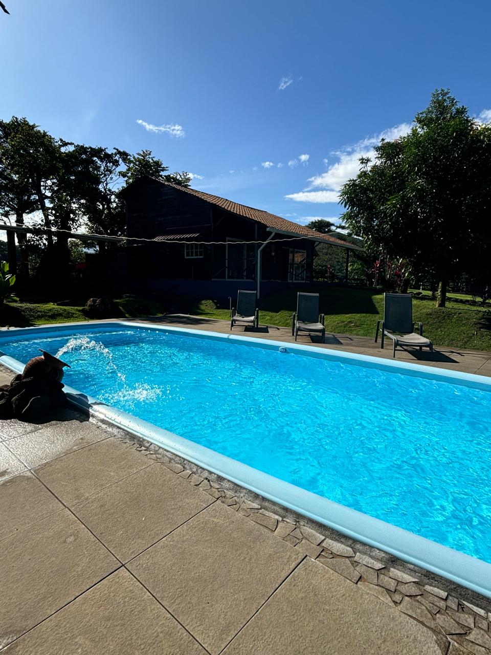 Piscine extérieure partagée devant une cabane